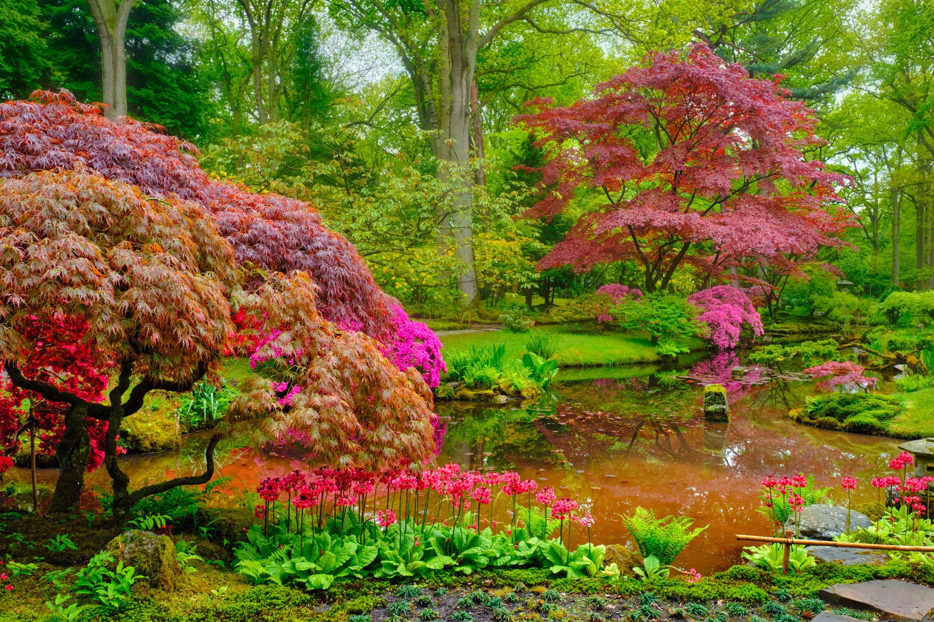 Transformer un aquarium en jardin japonais conseils pratiques Adroits — free download